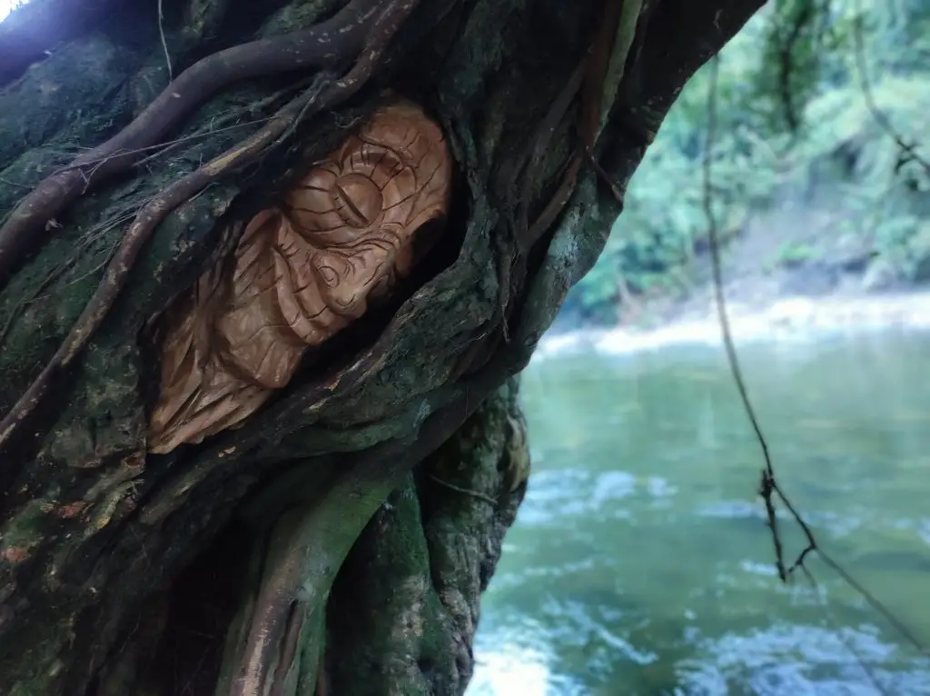 rio santo domingo, hermano del rio melcocho
