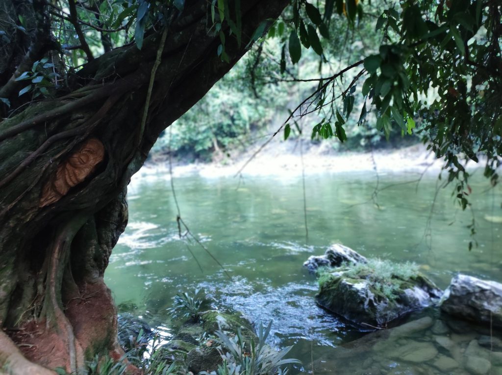 Hospedaje en rio santo domingo, hermano del rio melcocho, hospedaje , cabaña ecologica, finca, turismo, glamping para pareja y familar