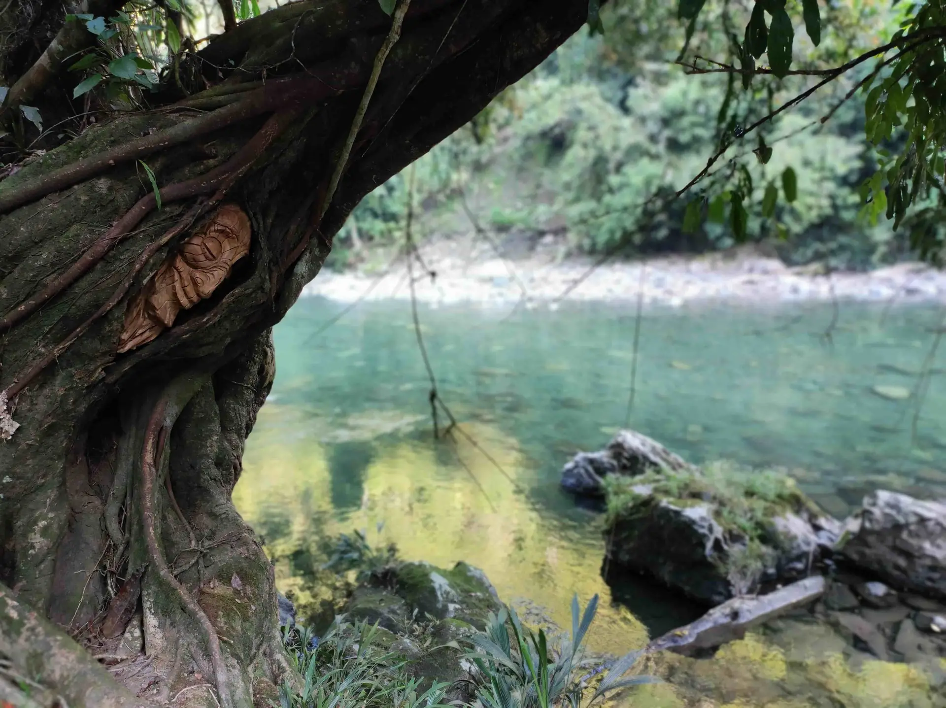 Hospedaje en rio santo domingo, hermano del rio melcocho, hospedaje , cabaña ecologica, finca, turismo, glamping para pareja y familar