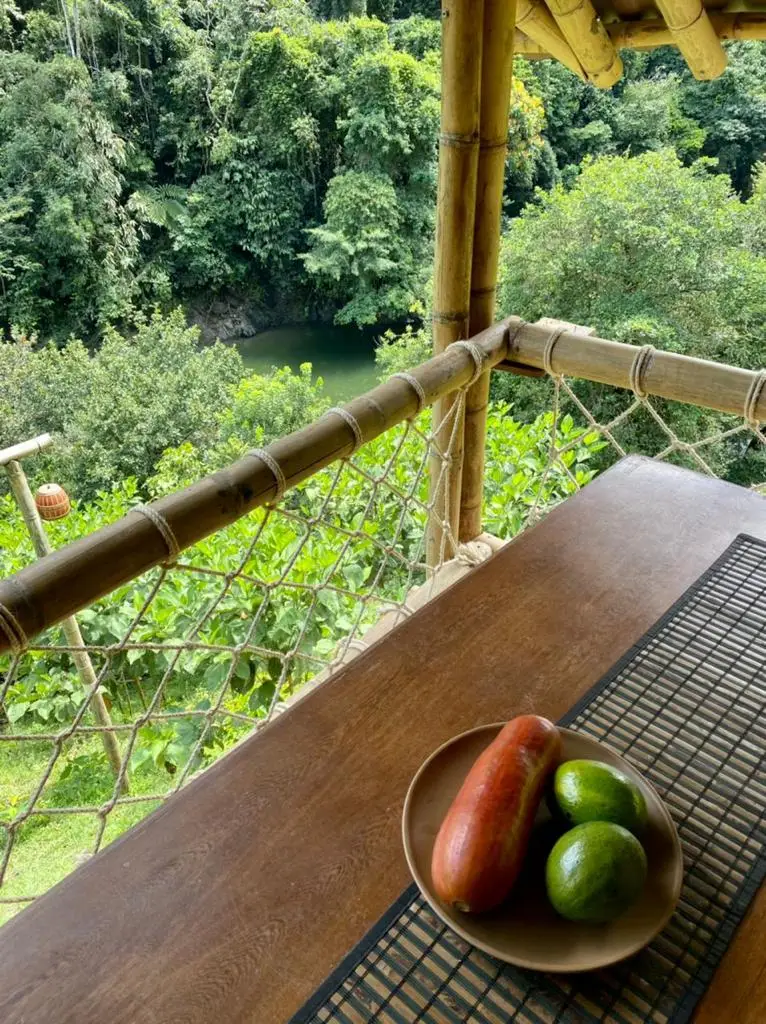Hospedaje en rio santo domingo, hermano del rio melcocho, hospedaje , cabaña ecologica, finca, turismo, glamping