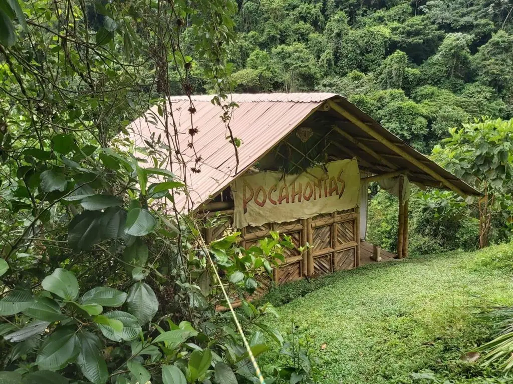 Hospedaje en rio santo domingo, hermano del rio melcocho, hospedaje , cabaña ecologica, finca, turismo, glamping
